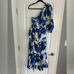 Jcrew Collection One Shoulder Ruffle Dress